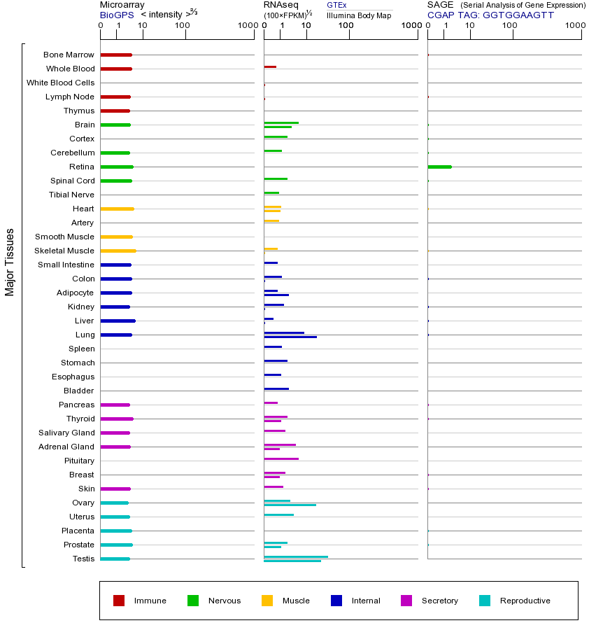 基因在不同组织中的表达图