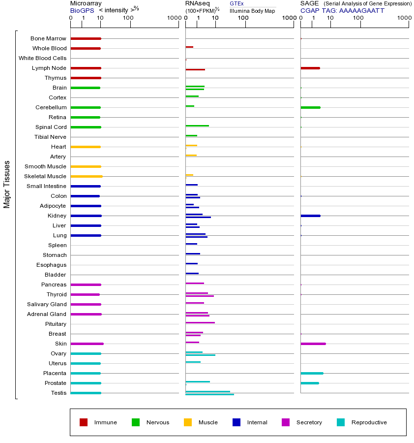 基因在不同组织中的表达图