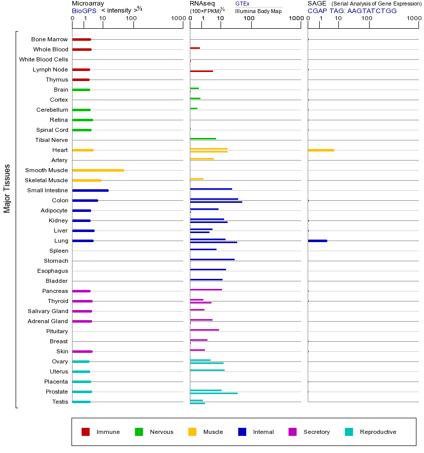 基因在不同组织中的表达图