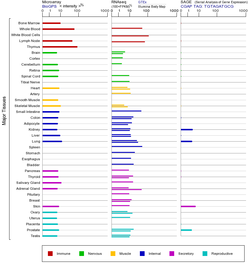 基因在不同组织中的表达图