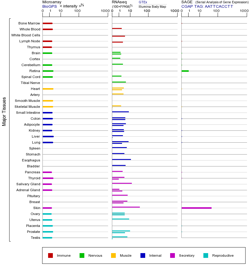 基因在不同组织中的表达图