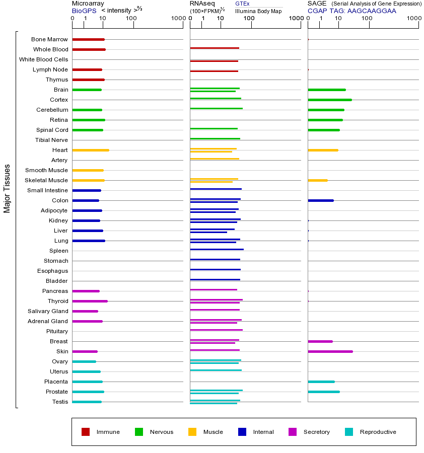 基因在不同组织中的表达图