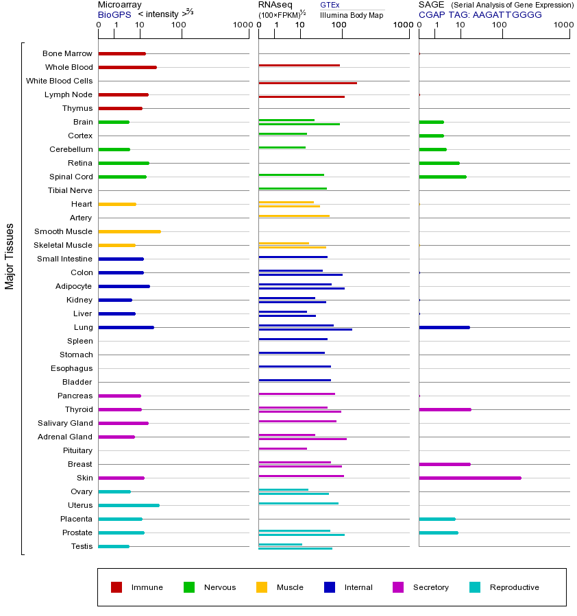 基因在不同组织中的表达图