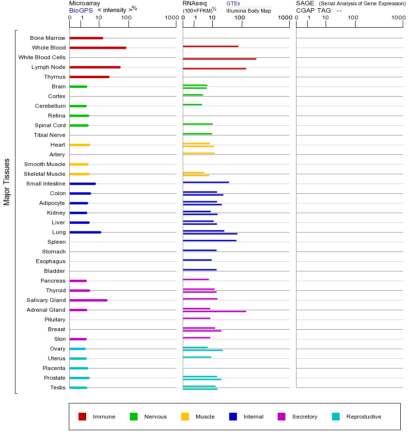 基因在不同组织中的表达图