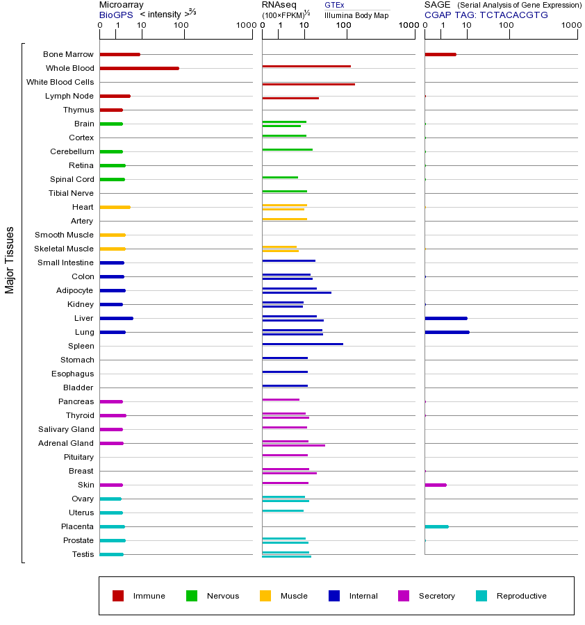 基因在不同组织中的表达图