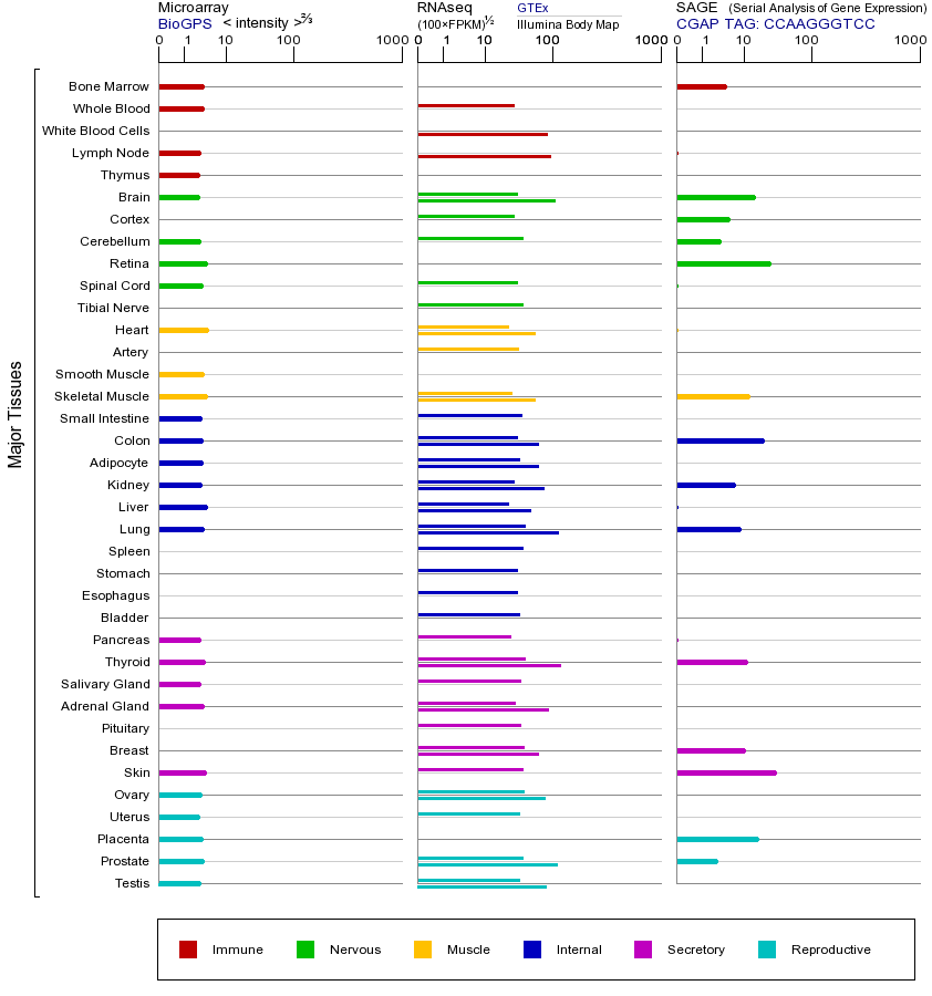 基因在不同组织中的表达图