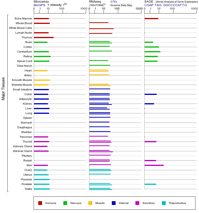 基因在不同组织中的表达图