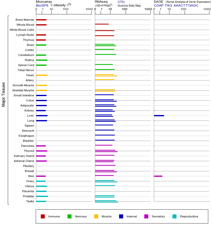 基因在不同组织中的表达图