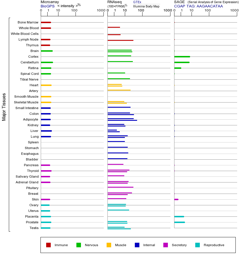 基因在不同组织中的表达图