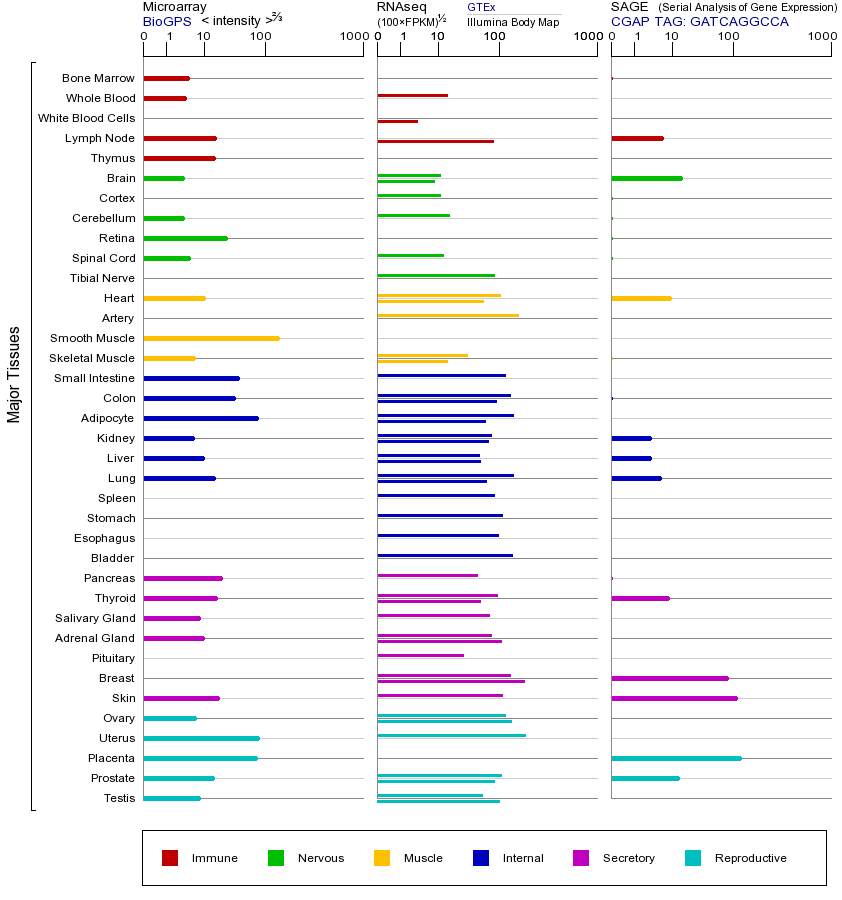 基因在不同组织中的表达图