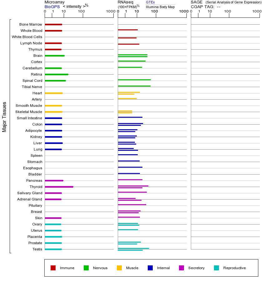 基因在不同组织中的表达图