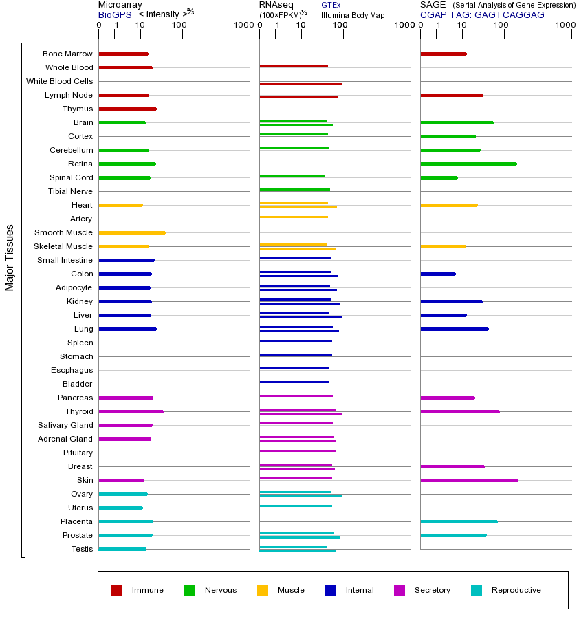 基因在不同组织中的表达图