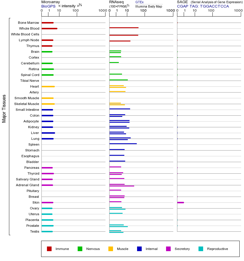 基因在不同组织中的表达图