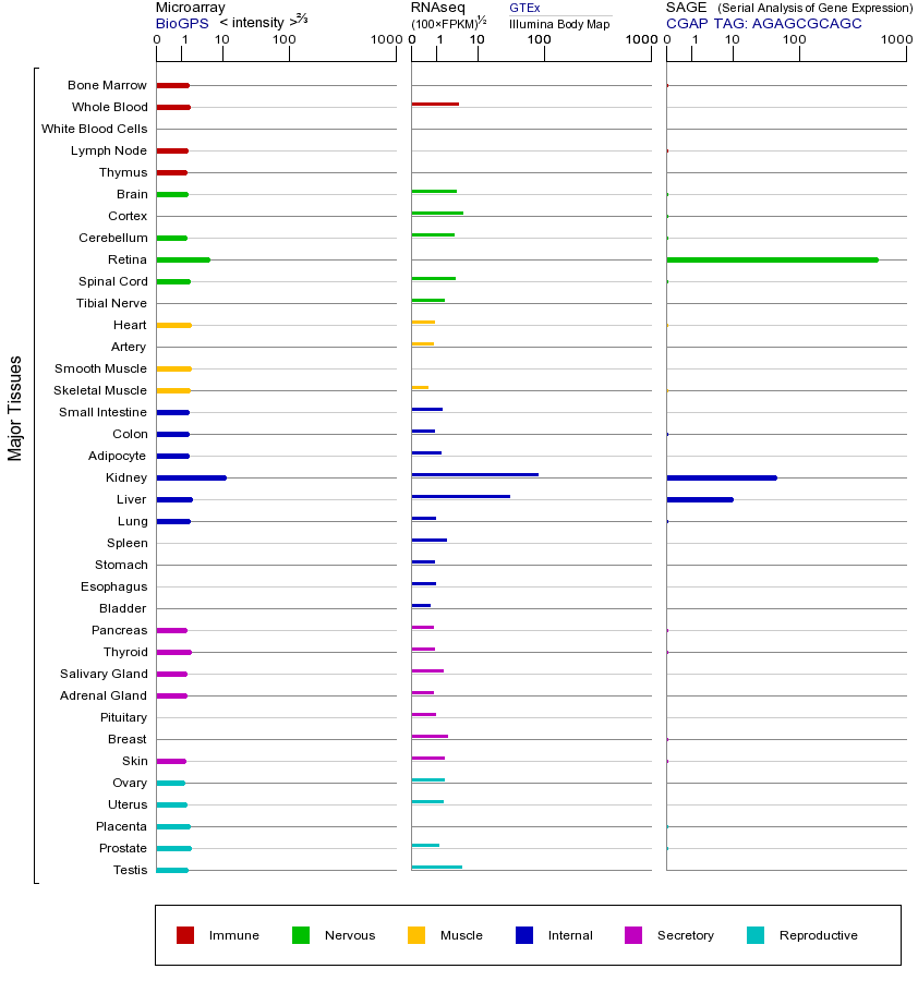 基因在不同组织中的表达图