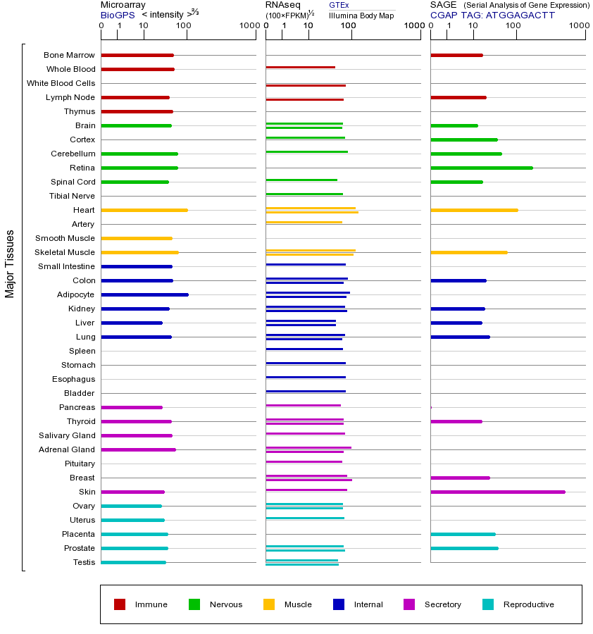基因在不同组织中的表达图