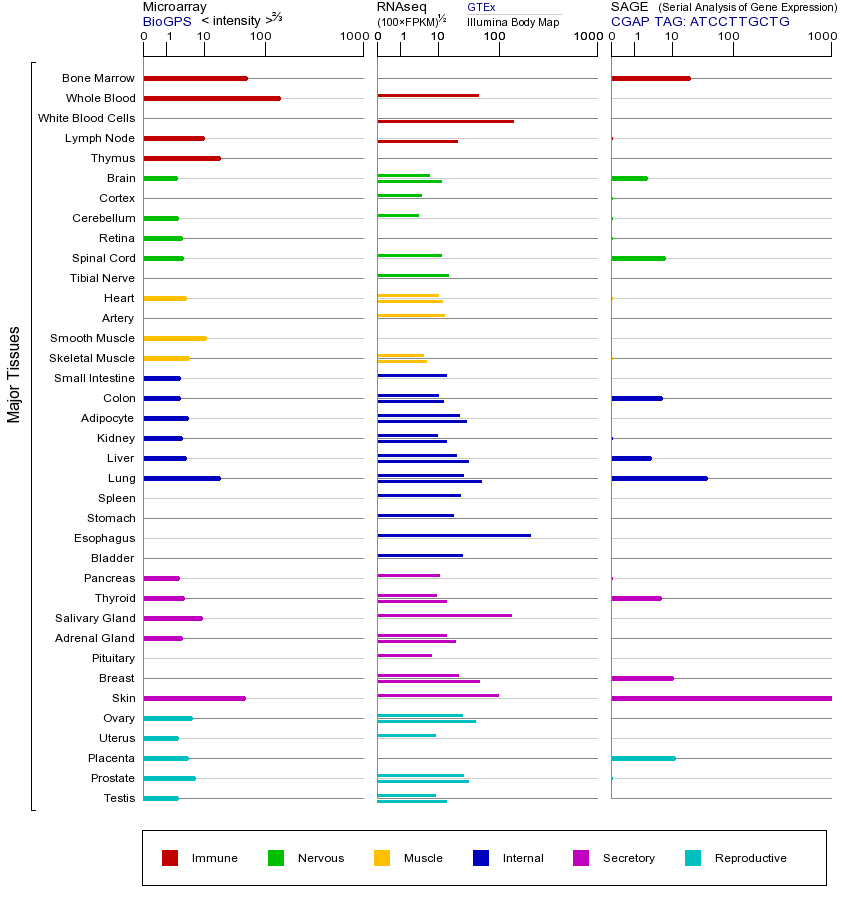 基因在不同组织中的表达图