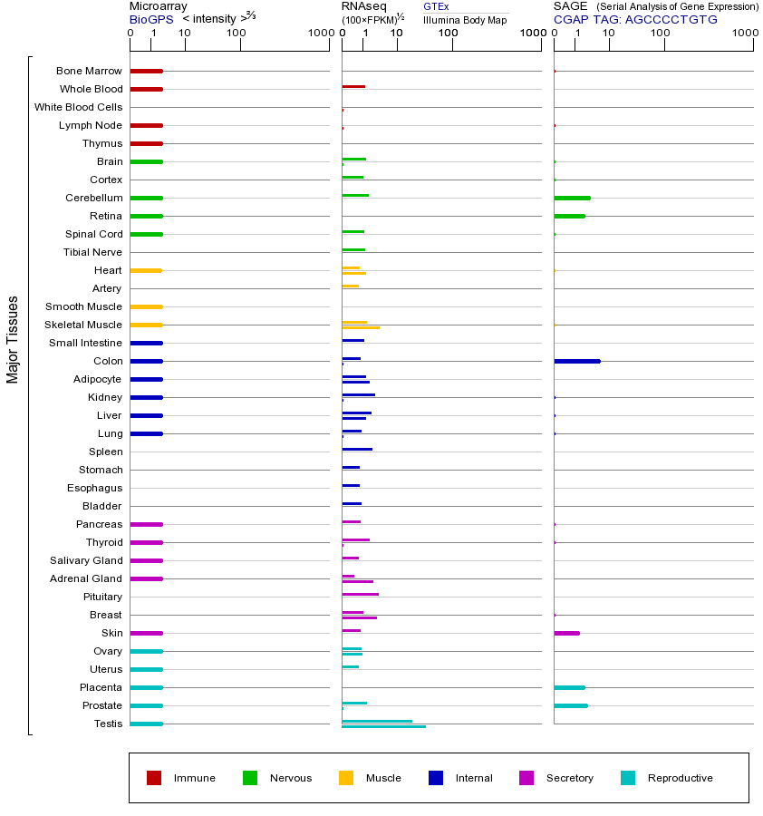 基因在不同组织中的表达图