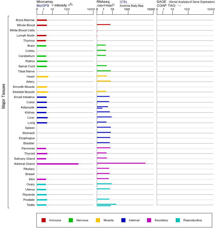 基因在不同组织中的表达图