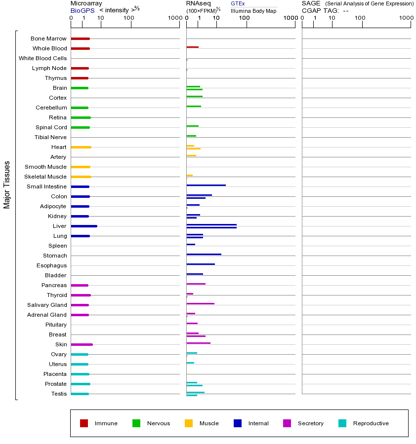 基因在不同组织中的表达图
