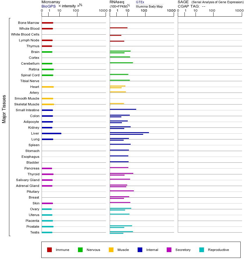 基因在不同组织中的表达图