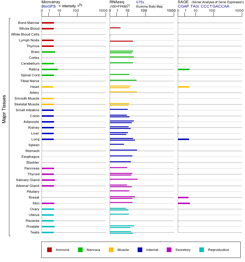 基因在不同组织中的表达图
