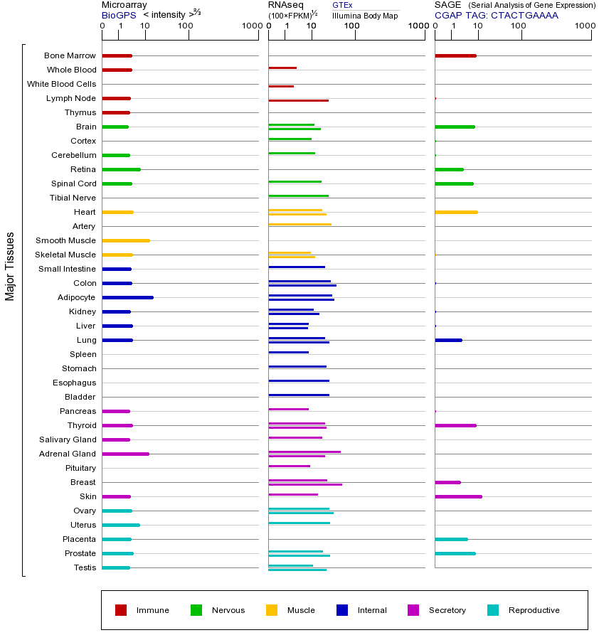 基因在不同组织中的表达图