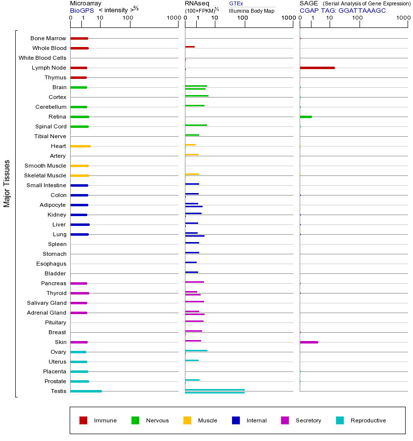 基因在不同组织中的表达图
