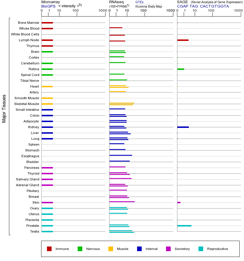 基因在不同组织中的表达图
