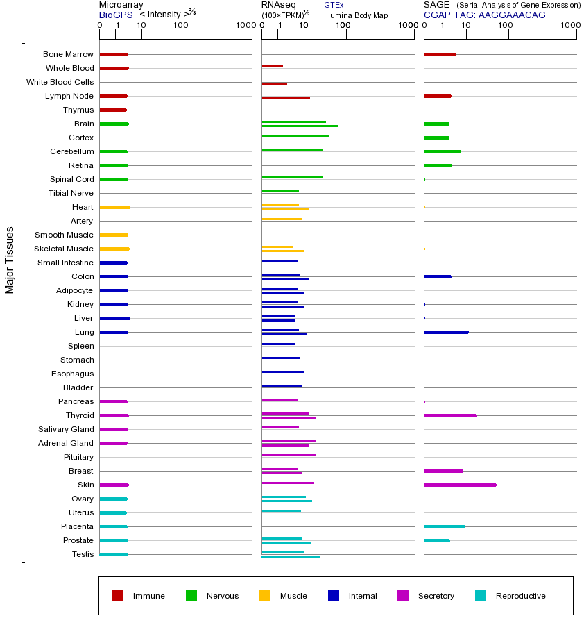基因在不同组织中的表达图