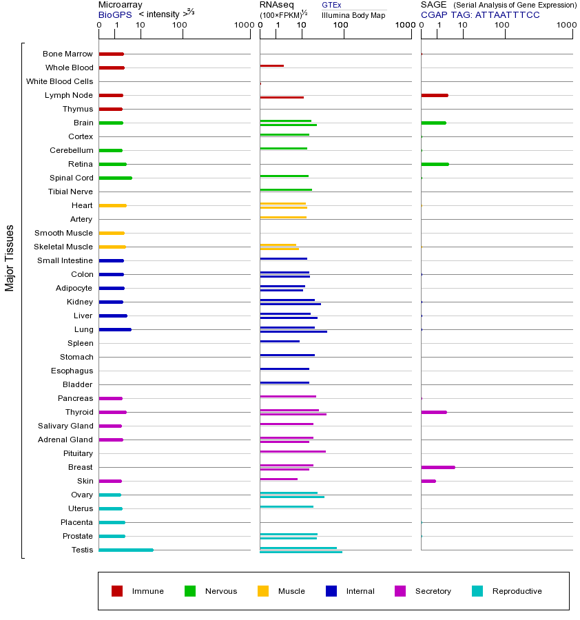 基因在不同组织中的表达图