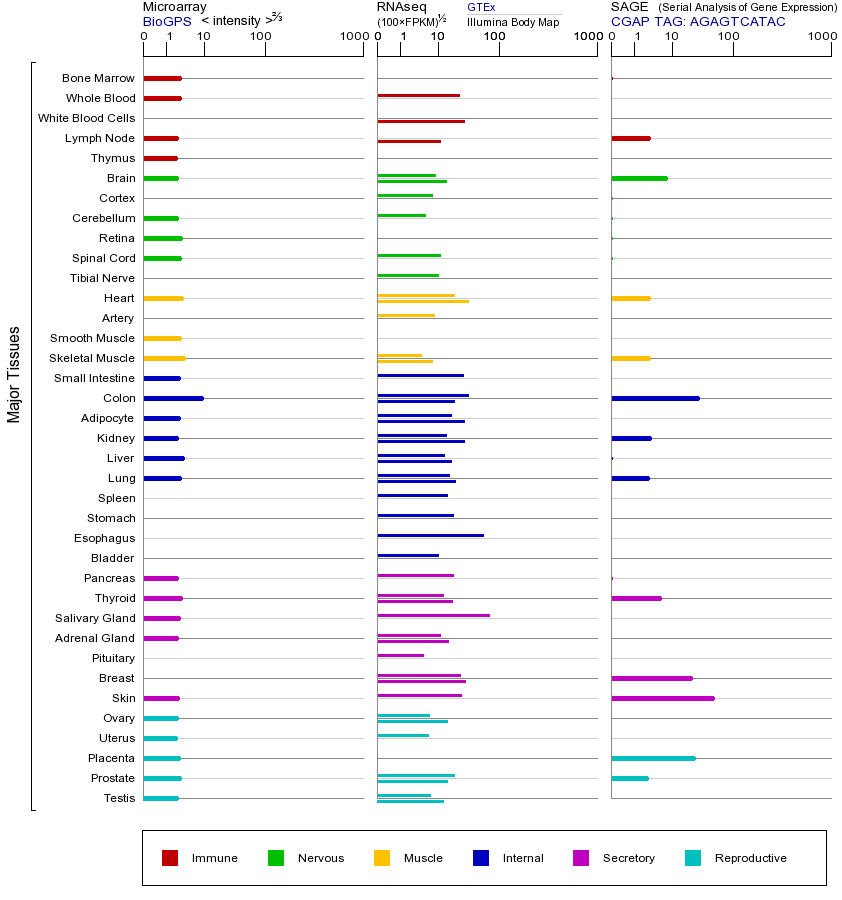 基因在不同组织中的表达图