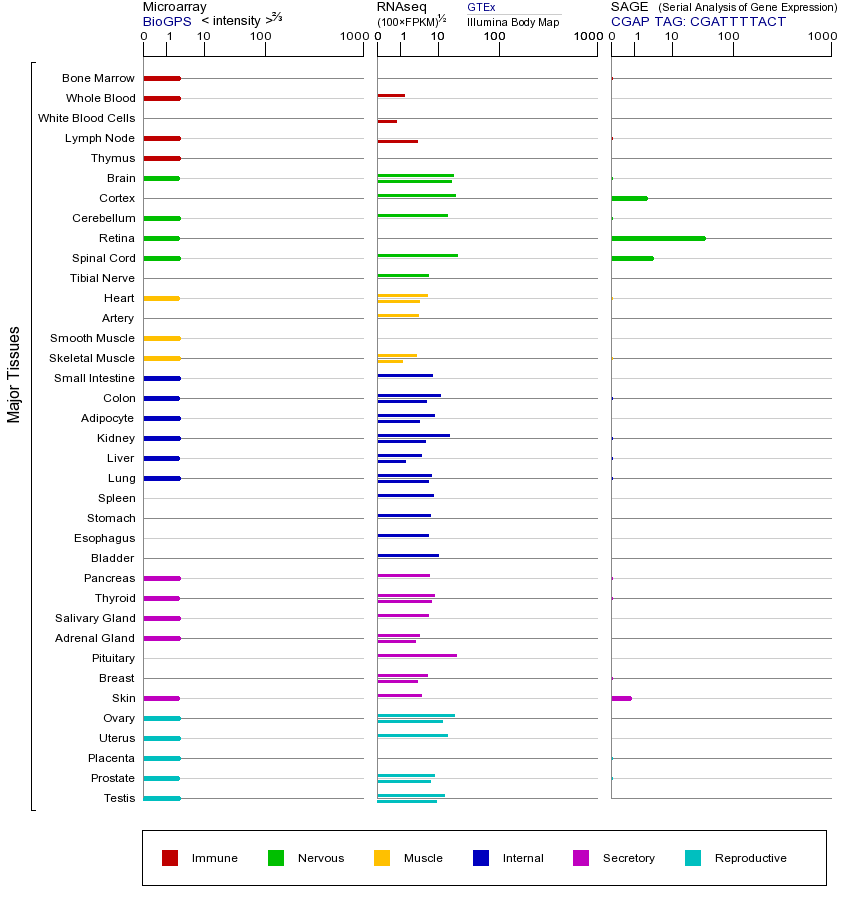 基因在不同组织中的表达图