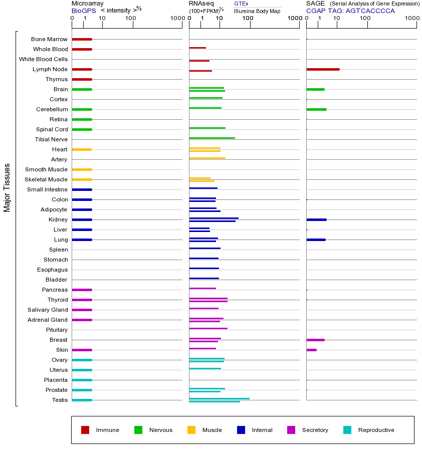 基因在不同组织中的表达图