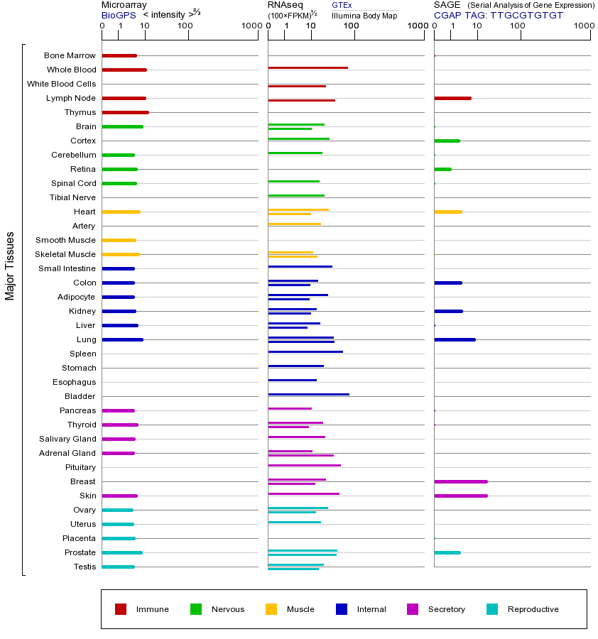 基因在不同组织中的表达图