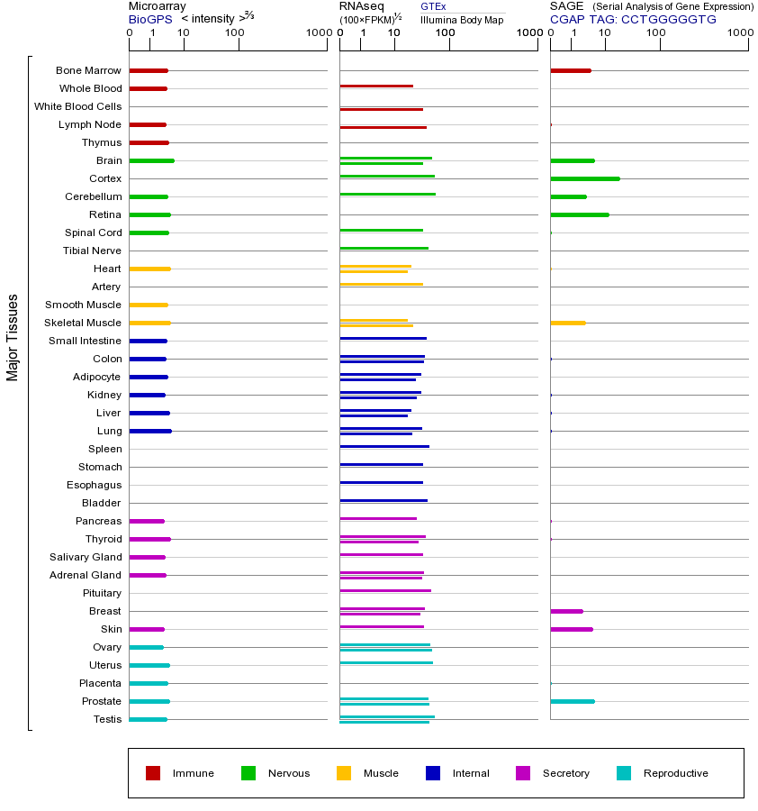 基因在不同组织中的表达图