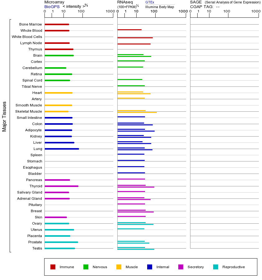 基因在不同组织中的表达图
