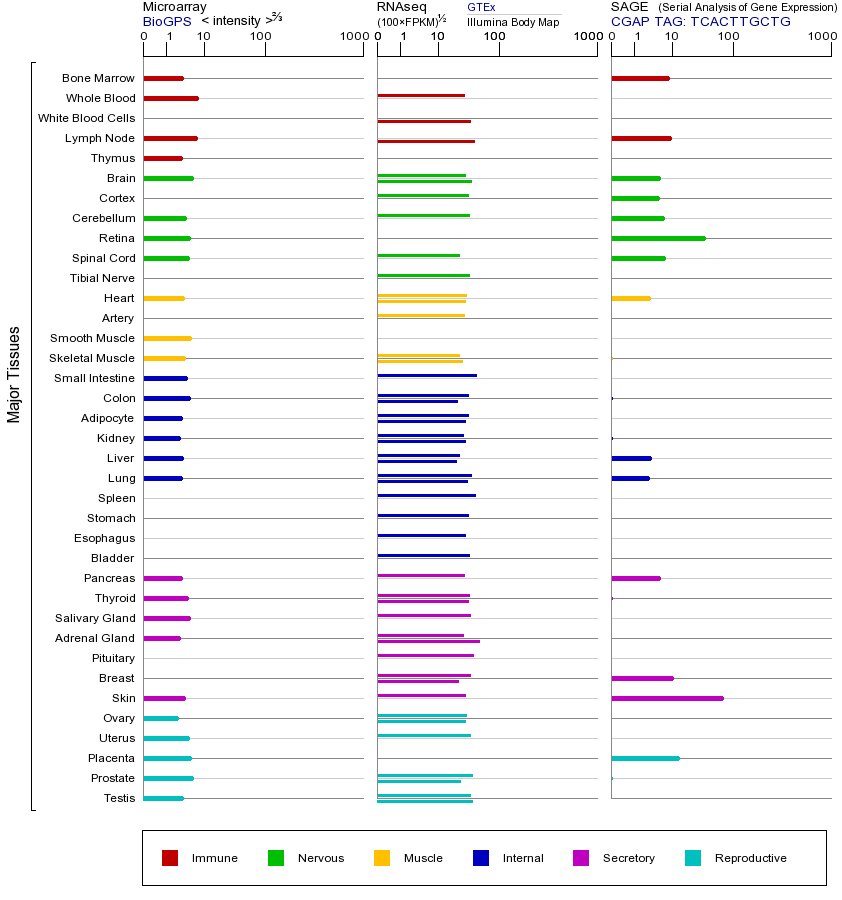 基因在不同组织中的表达图
