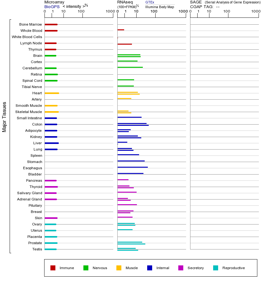 基因在不同组织中的表达图