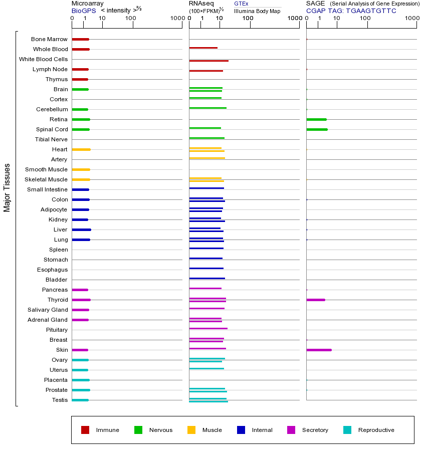 基因在不同组织中的表达图
