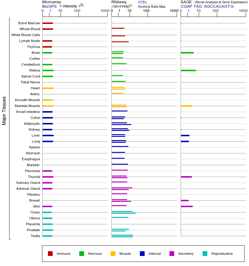 基因在不同组织中的表达图