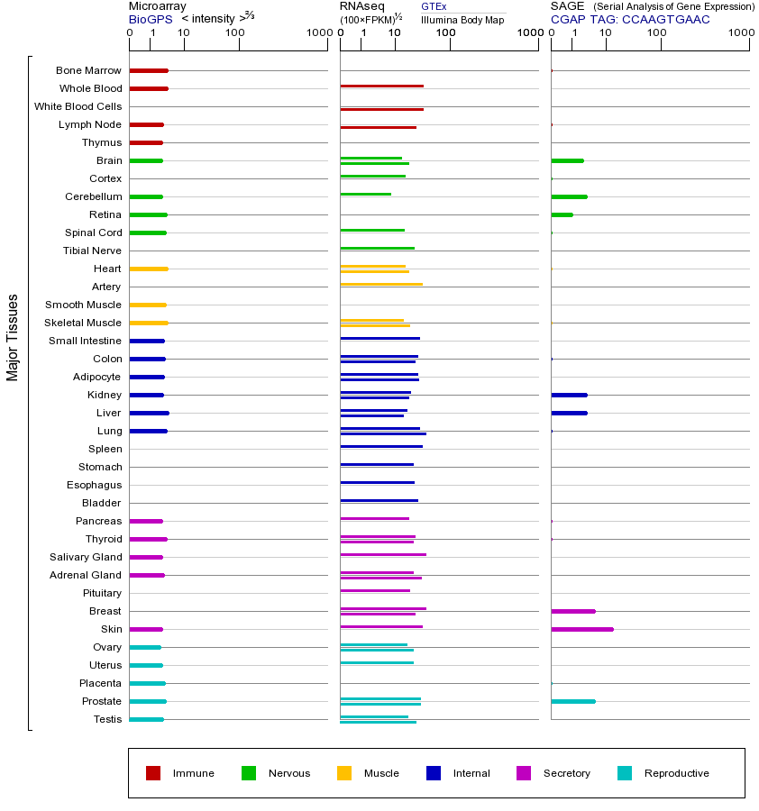 基因在不同组织中的表达图