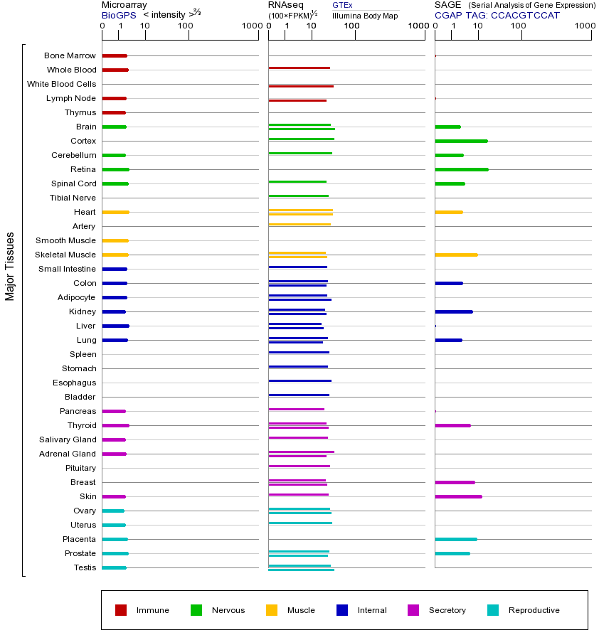基因在不同组织中的表达图