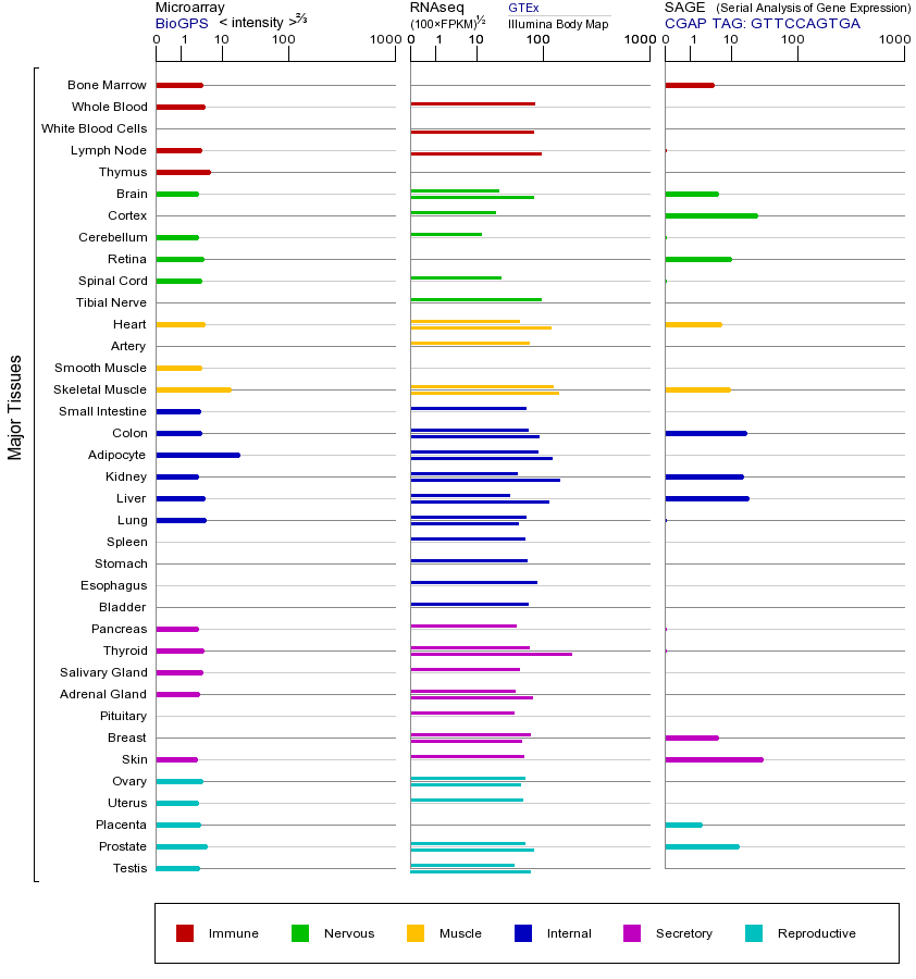 基因在不同组织中的表达图