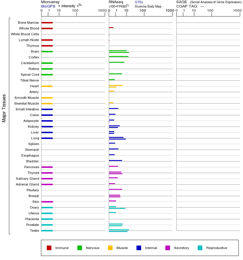 基因在不同组织中的表达图