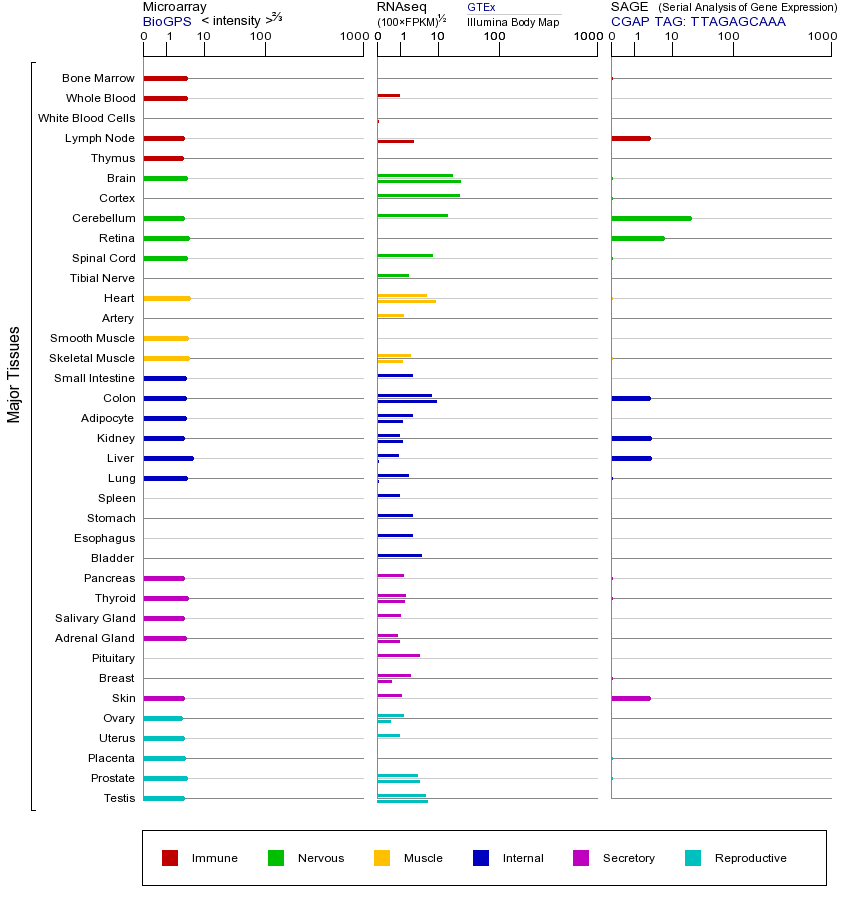 基因在不同组织中的表达图