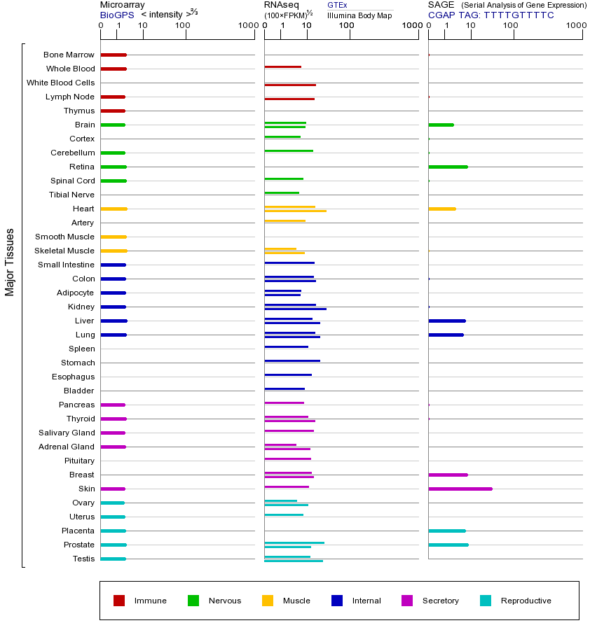 基因在不同组织中的表达图