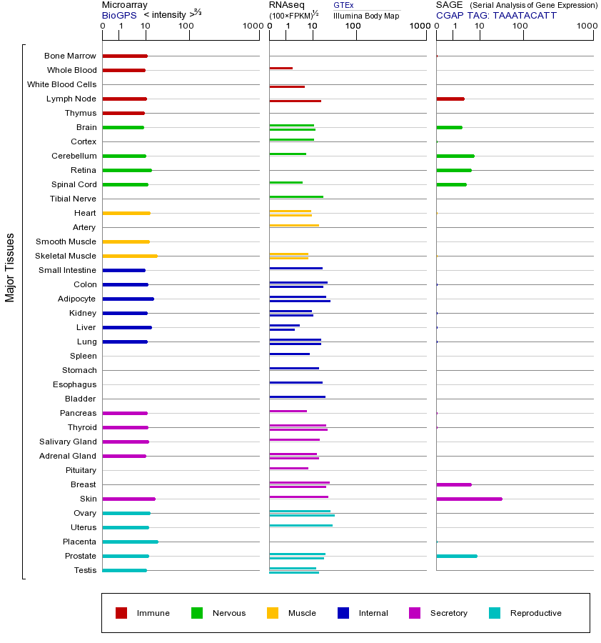 基因在不同组织中的表达图
