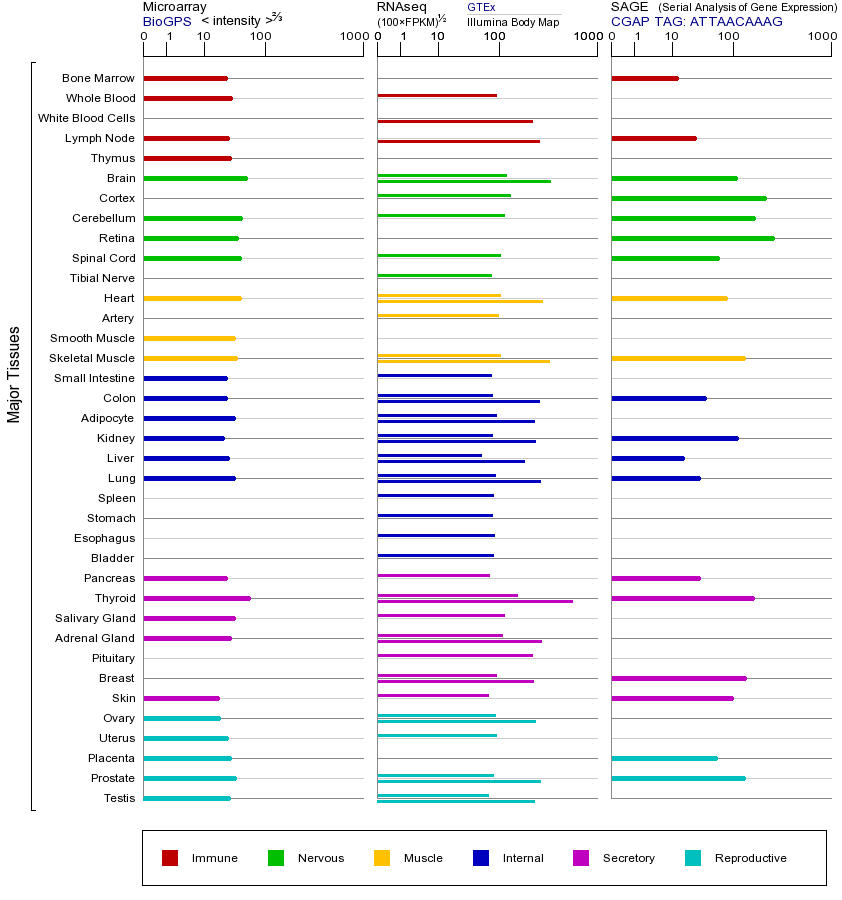 基因在不同组织中的表达图
