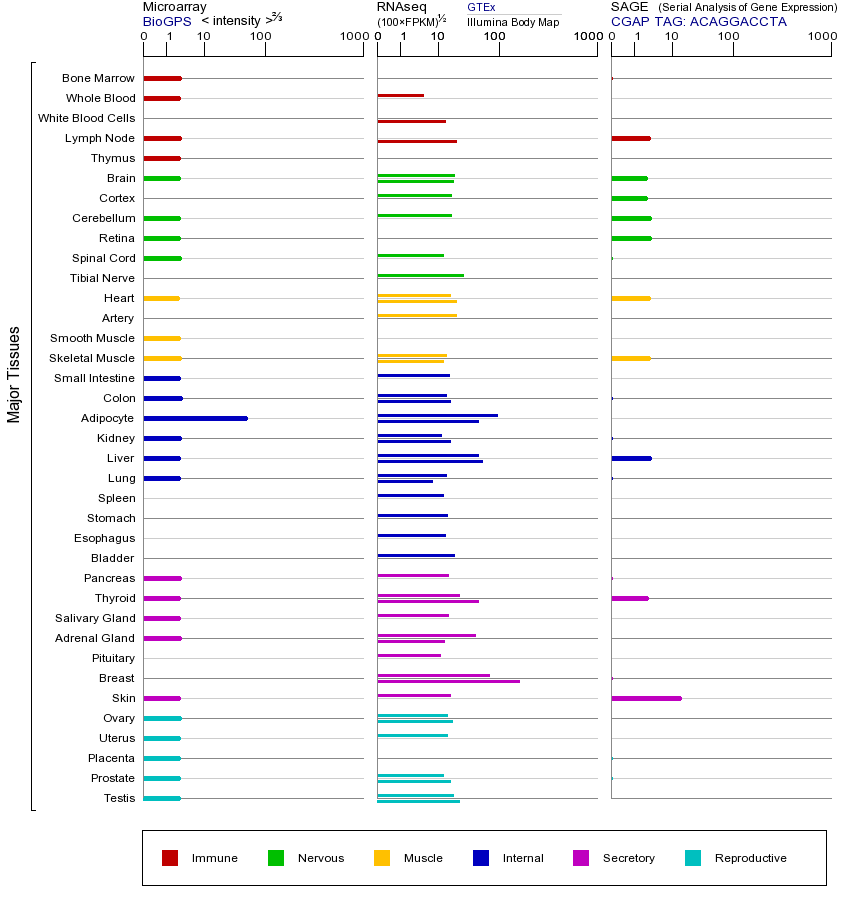 基因在不同组织中的表达图