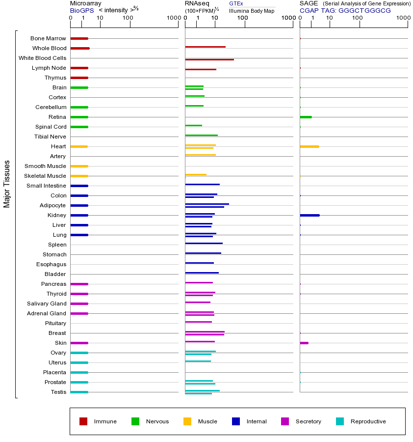 基因在不同组织中的表达图